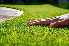 The amount of sun and shade that the area recieves during the day. Tips For Choosing The Most Appropriate Artificial Grass Turfgrass