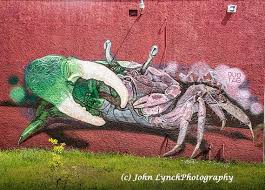 Angry Crab Murals Wall Art Houston