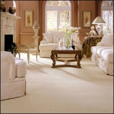 the best 10 carpeting in sumter sc