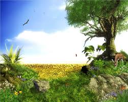 nature animated wallpaper free