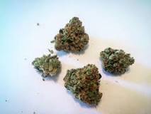 Image result for whats Ghost Train Haze