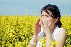 Image result for allergies
