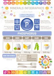 Phosphorus Mineral Supplement Rich Food Icons Healthy Eating