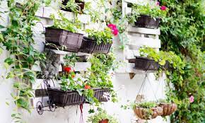 5 Diy Vertical Garden Ideas For Your Home