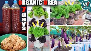 Organic Urea Nitrogen Fertilizer