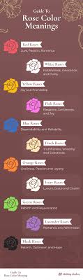 rose color meanings what to pick for