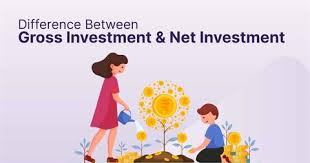 Difference Between Gross Investment And