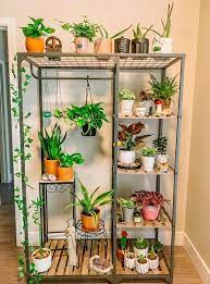 Multi Tier Plant Stands To Buy