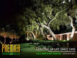 Landscape Lighting Repair Tampa