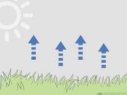 3 Ways To Water Your Lawn Efficiently Wikihow