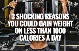 gain weight on less than 1000 calories