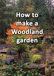 How To Make A Woodland Garden