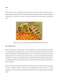 bees pdf