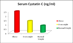 Bar Chart Showingcystatin C Of Female Obese Overweight And