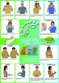Pets Signs Bsl British Sign Language Signlanguageposter