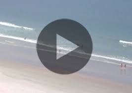 Beachcams And Daily Safety Report