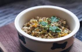 Homemade dog food for diabetic dogs is a great option to help pets with health issues, but if you don't feed a balanced diet you'll be doing more harm than good. Home Cooked Recipes For Dogs With Diabetes Homemade Diabetic Dog Treat Recipe Youtube It Has Been Successfully Served To At Least 20 Different Dogs