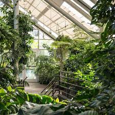 brooklyn botanic garden brooklyn new