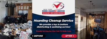 ding clean up new york home deep