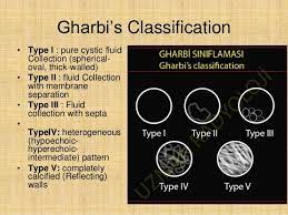 Type iii hydatid cysts are those with fluid collection and septa. Gharbi Classification Ultrasound Classification Membrane
