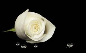 Image result for condolences pictures