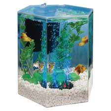 Tetra Bubbling Hexagon Aquarium Kit with LED Light, 1 Gallon | Walmart  Canada gambar png