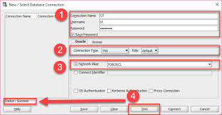 how to connect to oracle database server