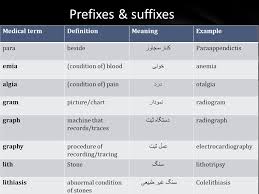 Medical Terminology Of Ppt Download