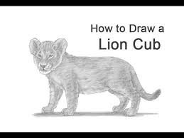 When drawing a lion head from the front, it's key to make his facial features as balanced as possible. How To Draw A Lion Cub Youtube