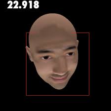 The Viola-Jones detection method is robust, but falters slightly in this next example when the face is rotated so that some of the features are obscured. - bxb1