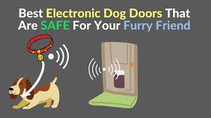 Best Electronic Dog Doors That Are Safe