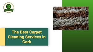top 5 carpet cleaning services in cork