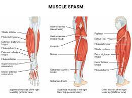 muscle spasm muscle crs treatment