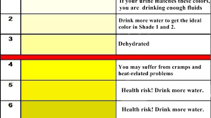 urine color chart and meaning hubpages