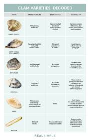 Heres Every Type Of Clam In One Simple Chart In 2019 Clam