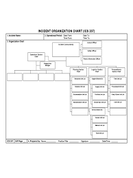 2019 Ics Organizational Chart Fillable Printable Pdf