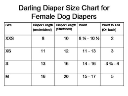 Reusable Machine Washable Designer Girl Dog Diapers In