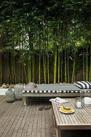 Bamboo fence ideas with lighting. Modern Bamboo Gardening Ideas For Backyard Backyard Bamboo Garden Backyard Landscaping