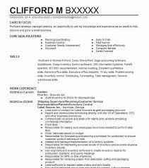 Best Auditor Resume Example Livecareer