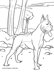 Please find your favorite coloring page to download, print and color in your free time. Great Coloring Page Boxers Dogs Free Coloring Pages