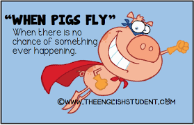 Image result for pictures of pigs flying