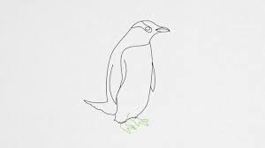 how to draw a penguin step by step 