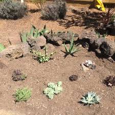 How To Make A Succulent Garden Bed In