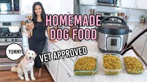 healthy dog food recipe