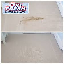 carpet cleaners in kannapolis nc