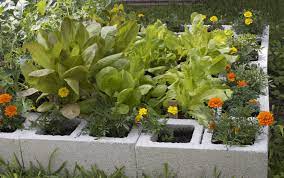 Simple Steps To Start A Garden For The