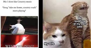 West virginia cat meme generator the fastest meme generator on the planet. Twenty Nine Entertaining Tidbits For Simple Scrolling Mimicnews