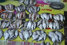 foodsafety asn au fish natural toxins