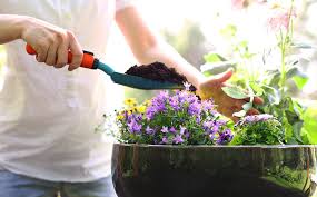 Garden Company Spring Container Ideas