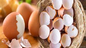 Karena, putih telur mampu melakukan regenerasi sel kulit agar dapat kembali berfungsi. Tips Unik Dan Mudah Mengupas Kulit Telur Hasilnya Mulus Wajib Ditiru Halaman 3 Tribun Pontianak